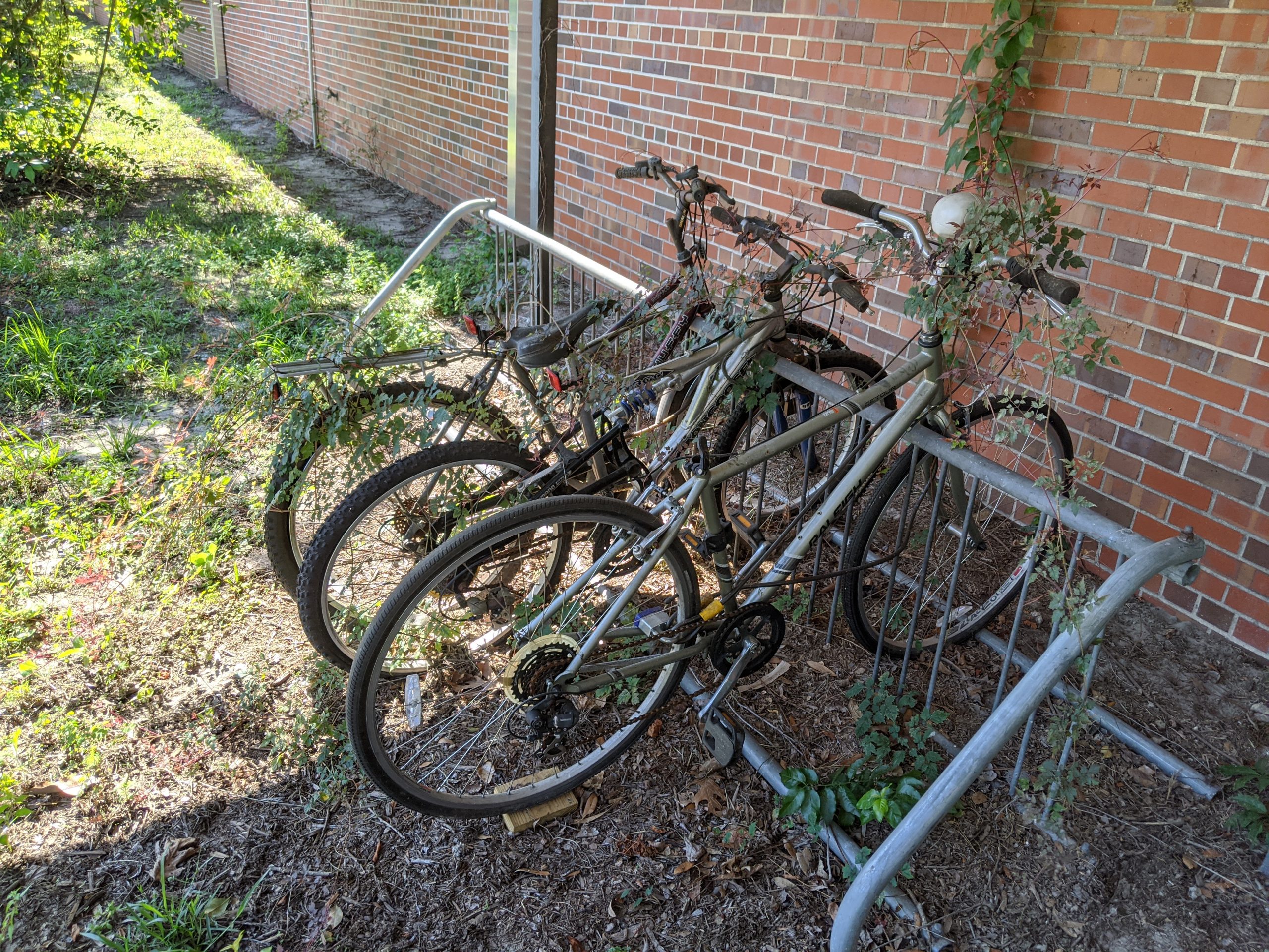 Abandoned Bikes